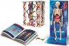Clementoni Ciało ludzkie Anatomia DNA Naukowa Zabawa